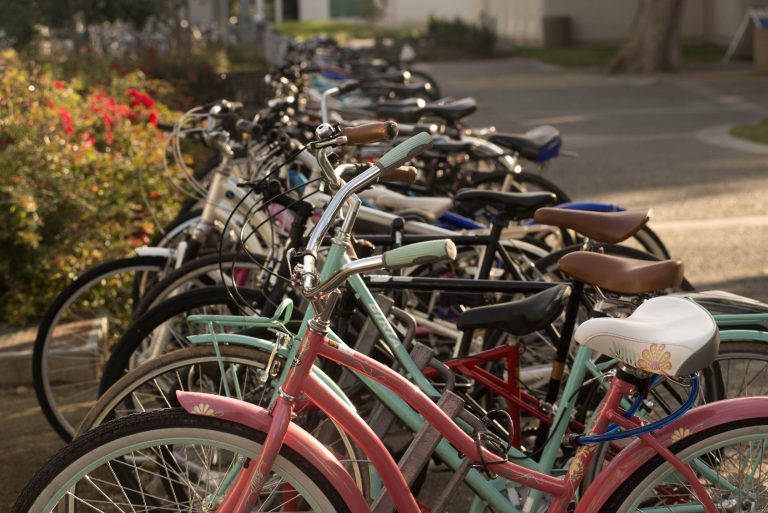 Bicycles on the UC Davis campus