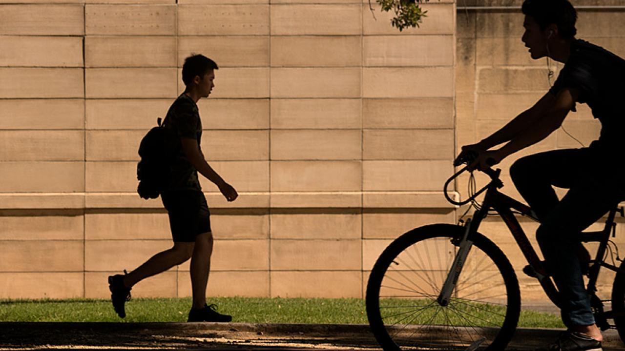 Bicycle, Pedestrian Silhouette