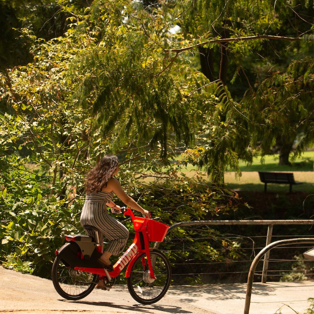 person bicycling in the arboretum