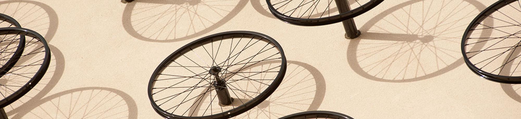 Bicycle Wheels on a Wall