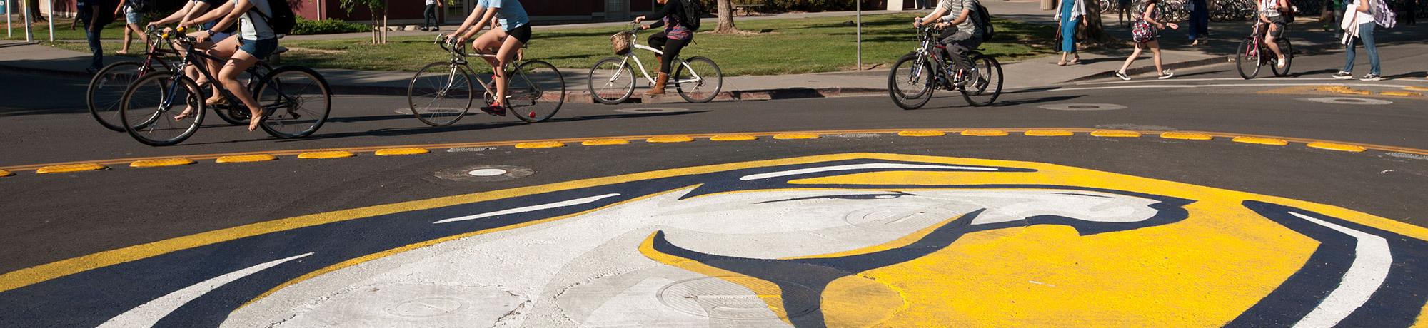 UC Davis Bike Circle